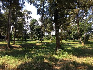 Agricultural Land in Batang Kali, SGR