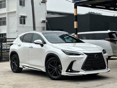 Lexus NX 250 LUXURY in Petaling Jaya, SGR