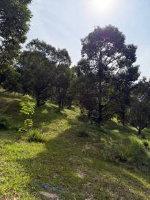 Agricultural Land in Tamparuli, SBH