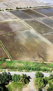 Agricultural Land in Sungai Rambai, MLK