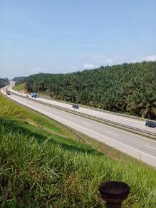 Agricultural Land in Kuala Lipis, PHG