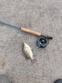 Fly fishing pancing layang Saugayilang set combo