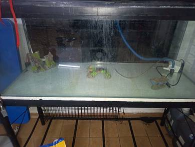 4 feet fish tank 