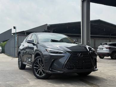2022 Lexus NX 250 LUXURY
