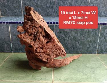 kayu aquascape driftwood mesti TENGGELAM