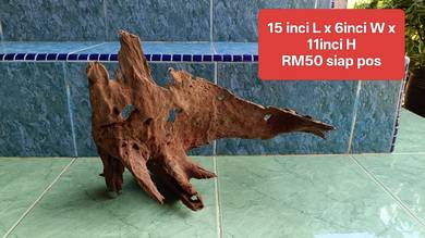 aquascape driftwood body tipis