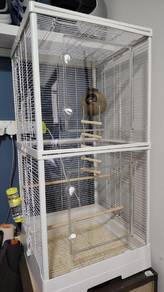 sangkar 2 tingkat skali sugar glider, pallet dll