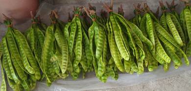 Menjual Petai Fresh