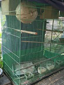 Sangkar Burung set