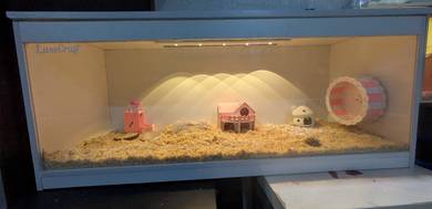 hamster cage sangkar 