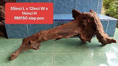driftwood kayu akuarium besar solid