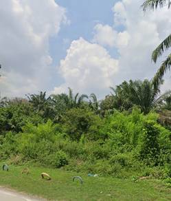 Industrial Land in Batu Kawan, PNG