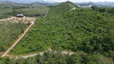 Agricultural Land in Pendang, KDH
