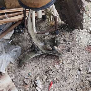 driftwood aquascape untuk aquarium 2 kaki 