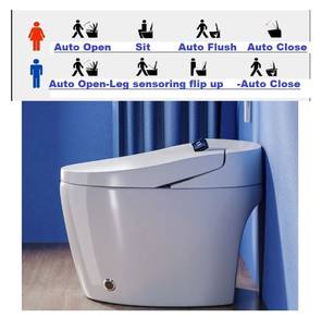 FULLY Automatic Toilet Bowl, FULL SPEC Electric To