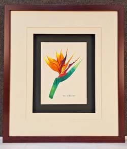 Framed Watercolor Botanical Bird of Paradise I