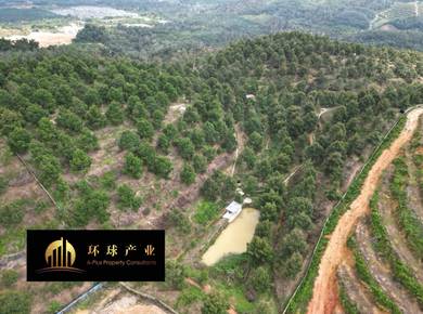 Agricultural Land in Kulim, KDH