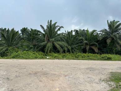 Agricultural Land in Klang, SGR