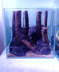 aquarium dan hiasan aquascape