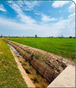 Mixed Development Land in Permatang Pauh, PNG