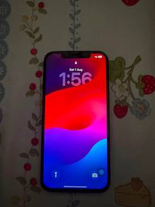 iphone 12 pro max 256gb grey