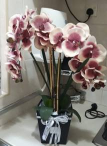 Used Artificial Orchids