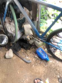 basikal fixie untuk dijual