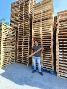 Kayu Bruti 31" - Harga Promosi!!
