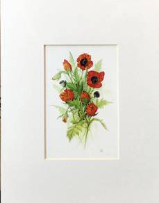 Watercolor Botanical Painting 📢