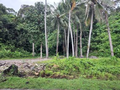 Residential Land in Bayan Lepas, PNG