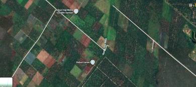 Agricultural Land in Pekan Nanas, JHR