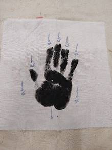 phayant hand