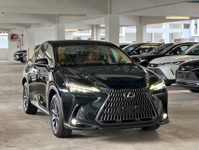 Lexus NX 250 VERSION L in SS2, SGR