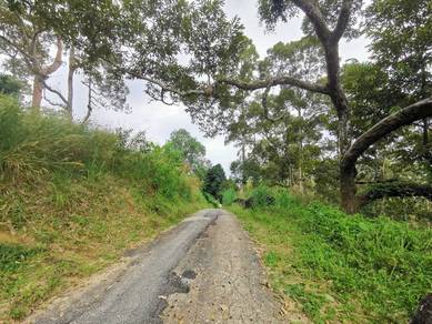 Agricultural Land in Balik Pulau, PNG