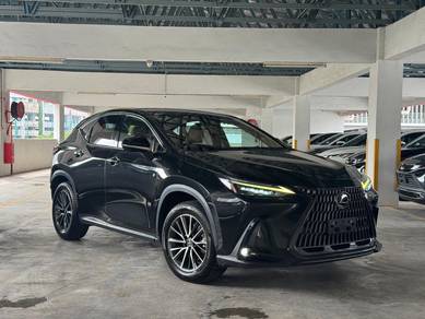 Lexus NX 250 VERSION L in Desa Petaling, KUL