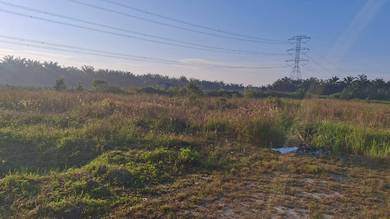 Agricultural Land in Port Dickson, NSN