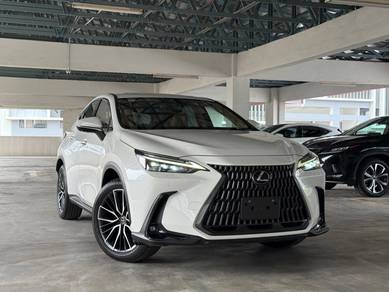 2023 Lexus NX 250 LUXURY