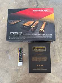 Westnoble DSP 4in 6 out