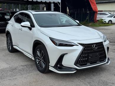 2023 Lexus NX 250 LUXURY