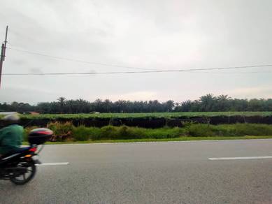 Agricultural Land in Simpang Ampat, PNG