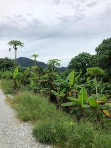 Agricultural Land in Hulu Selangor, SGR