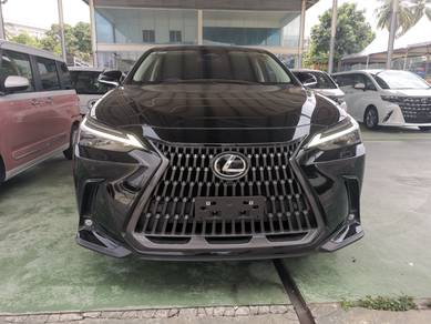 Lexus NX 250 VERSION L in Kayu Ara, SGR