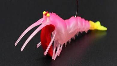 Jpm professor live shrimp