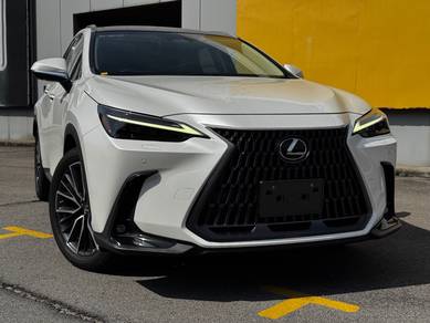 2023 Lexus NX 250 LUXURY