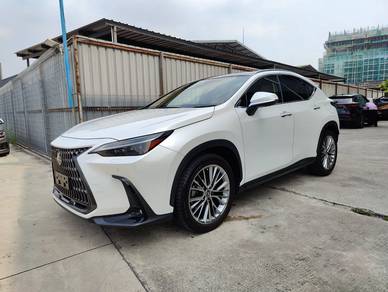 Lexus NX 250 LUXURY in Sungai Besi, KUL