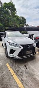 Lexus RX 300 F SPORT in Damansara Kim, SGR
