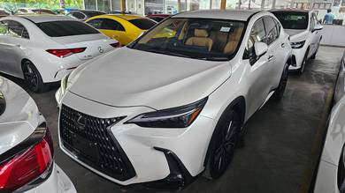 2023 Lexus NX 250 LUXURY