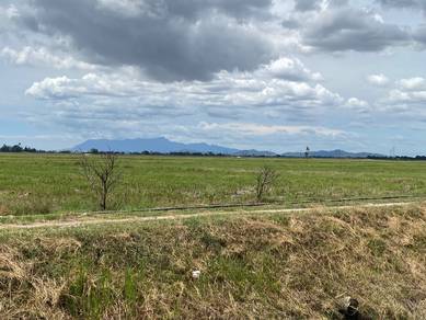 Agricultural Land in Kepala Batas, PNG