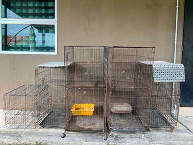 Sangkar Kucing
