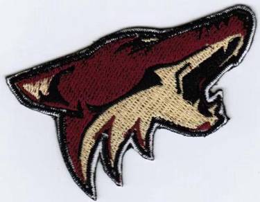 Arizona Coyotes NHL National Hockey League Patch